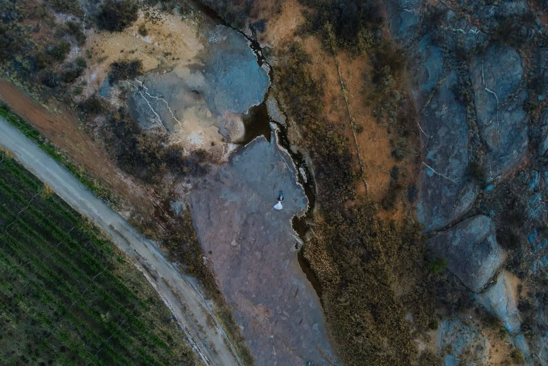 An aerial view of the estate's vineyards and dam in autumn, the trees turned rust and gold