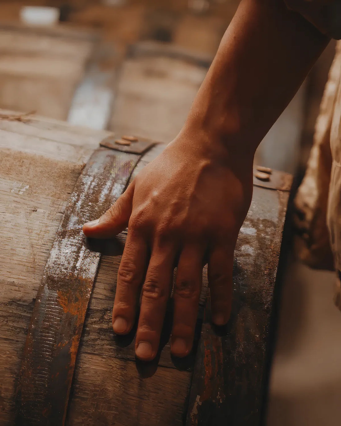 Wooden maturation barrels at the cellar door