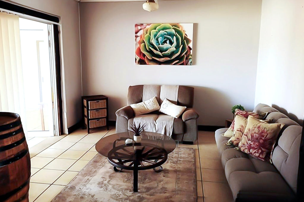 Self-catering Family Farmstay at Bezalel Estate