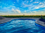 Pool with vineyard and blue sky in the background at Bezalel Estate
