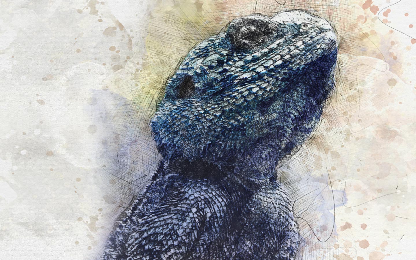 hand-drawn label of a lizzard by Bezalel's winemaker