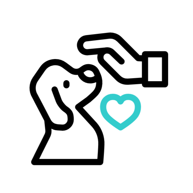 Pet Friendly Accommodation