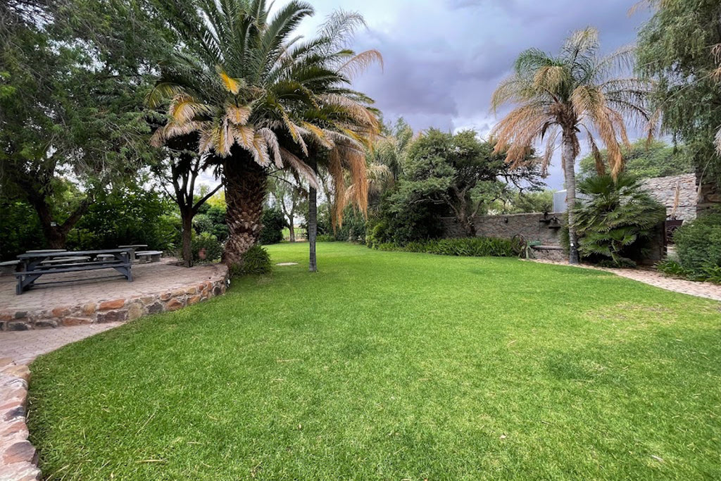 Lush green lawn with palm trees and a stone wall in the background
