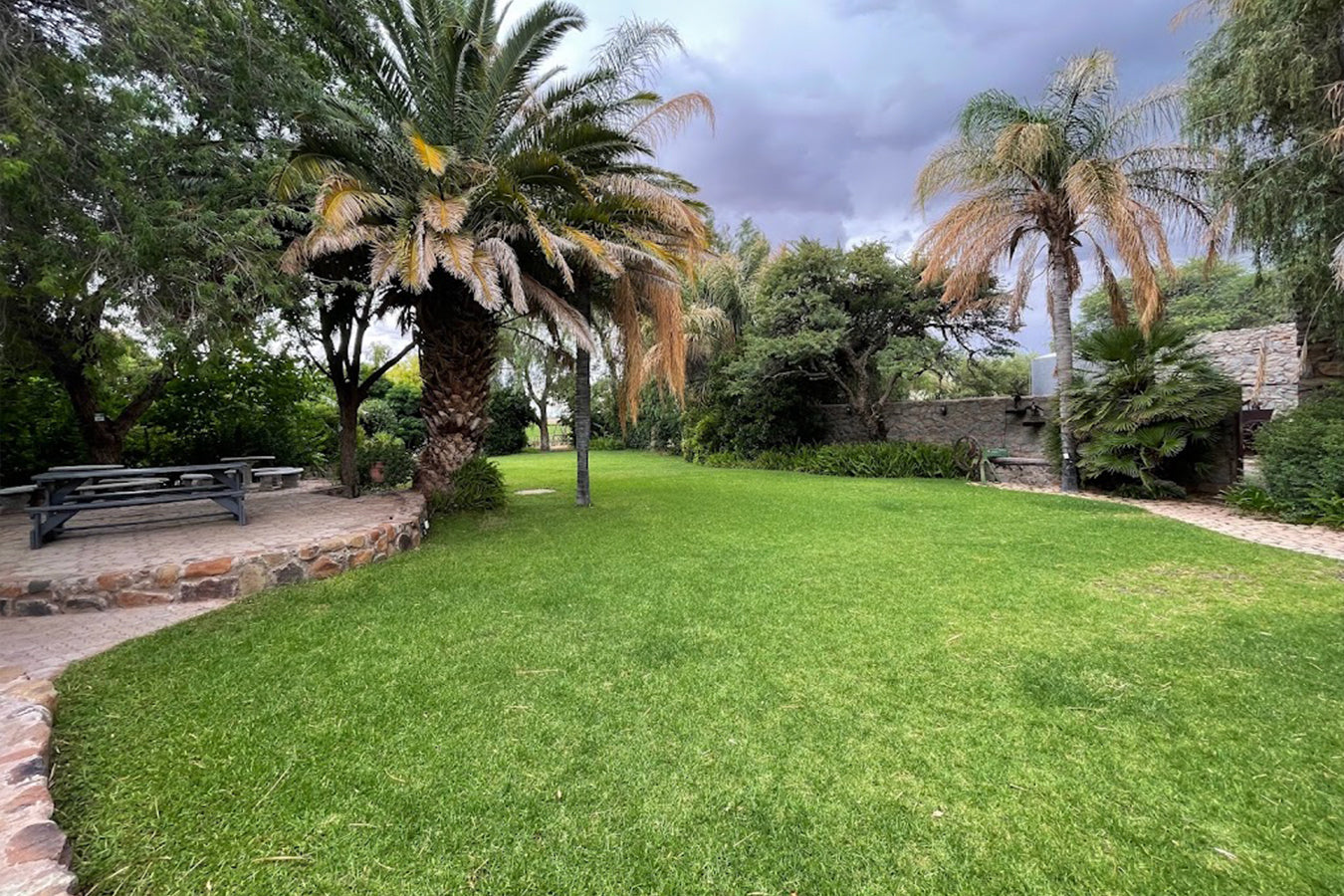 Lush green lawn with palm trees and a stone wall in the background