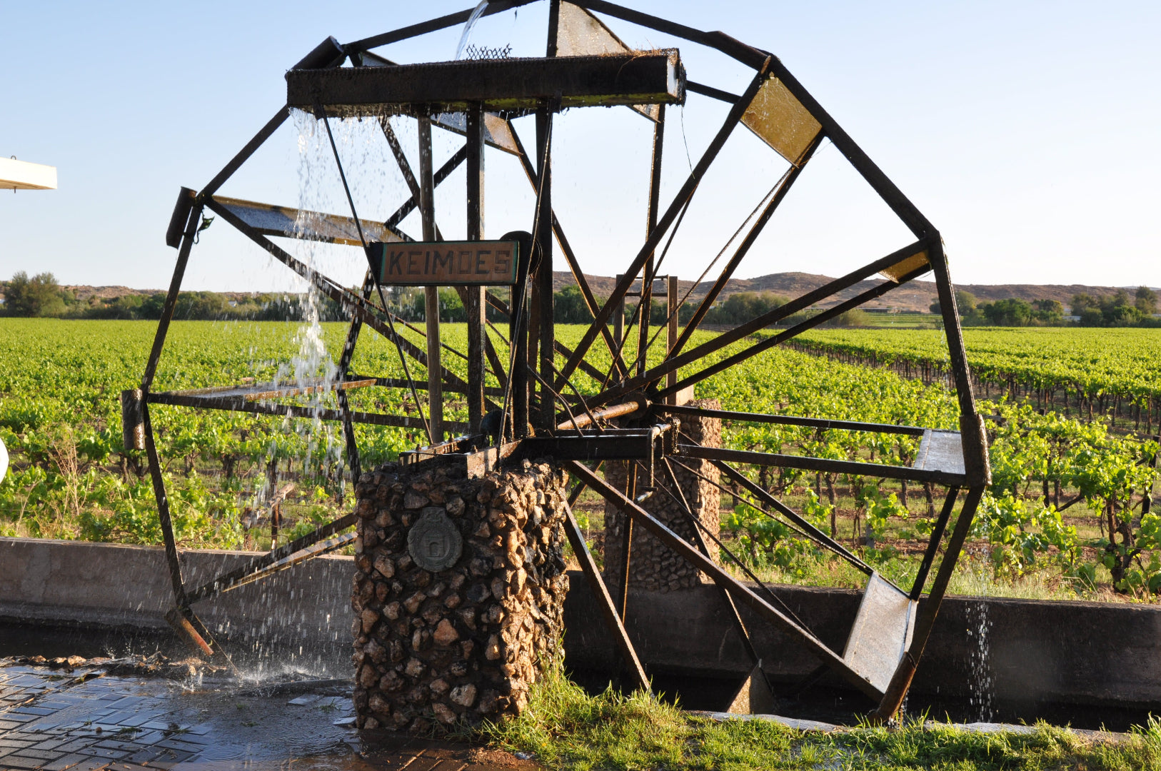 Water wheel with water flowing through it in a vineyard setting in Keimoes