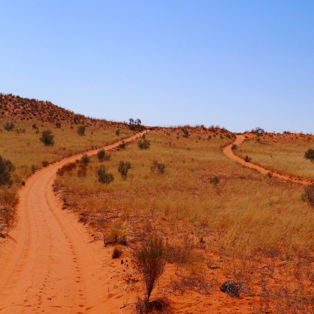 Winding dirt road through a desert landscape with red earth and sparse vegetation under a clear blue sky.
