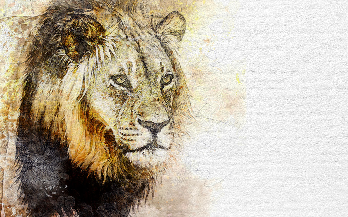 Hand-drawn label of a Kalahari lion by Bezalel's winemaker