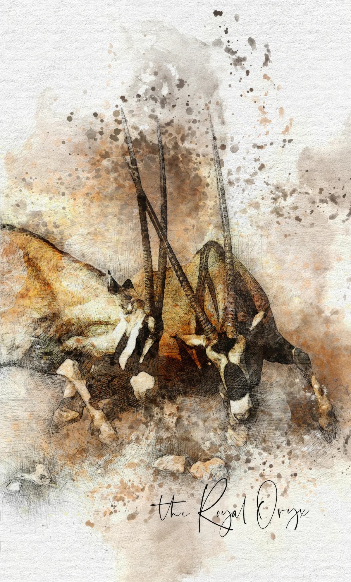 Dry Red Blend, South Africa | Royal Oryx | Bezalel Estate