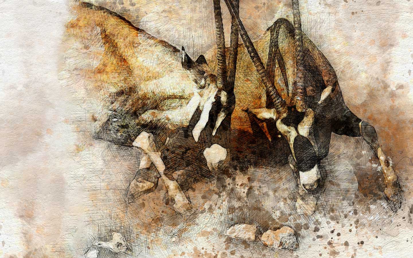 Hand-drawn label of two oryx fighting in the Kalahari by Bezalel's Winemaker