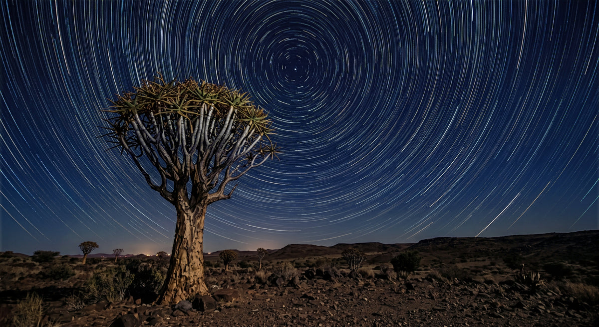 Stargazing after sundown